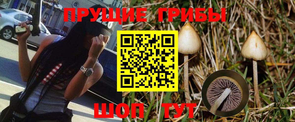 Псилоцибиновые грибы GOLDEN TEACHER  Вход с VPN  Псилоцибиновые грибы прущие грибы  Мариинск 